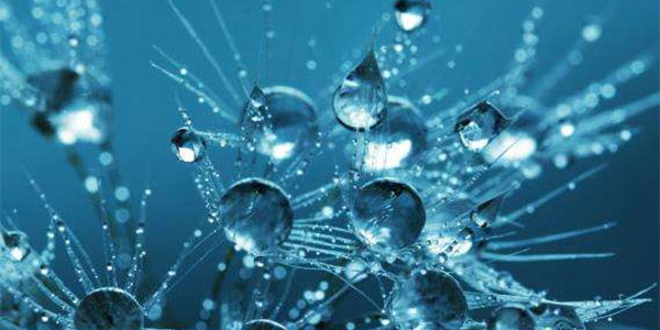水資源與水環境